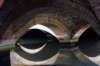 dsc08059_small.jpg