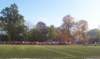 picture_3281_small.jpg